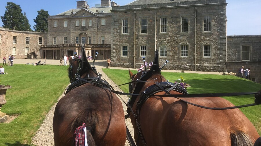 We were lucky enough to get a ride in a cart pulled by 2 Clydesdale horses around the grounds of Haddo House!