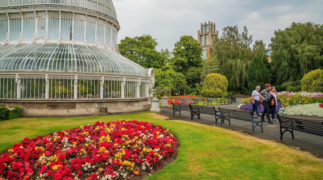 Belfast Botanic Gardens which includes flowers and a garden