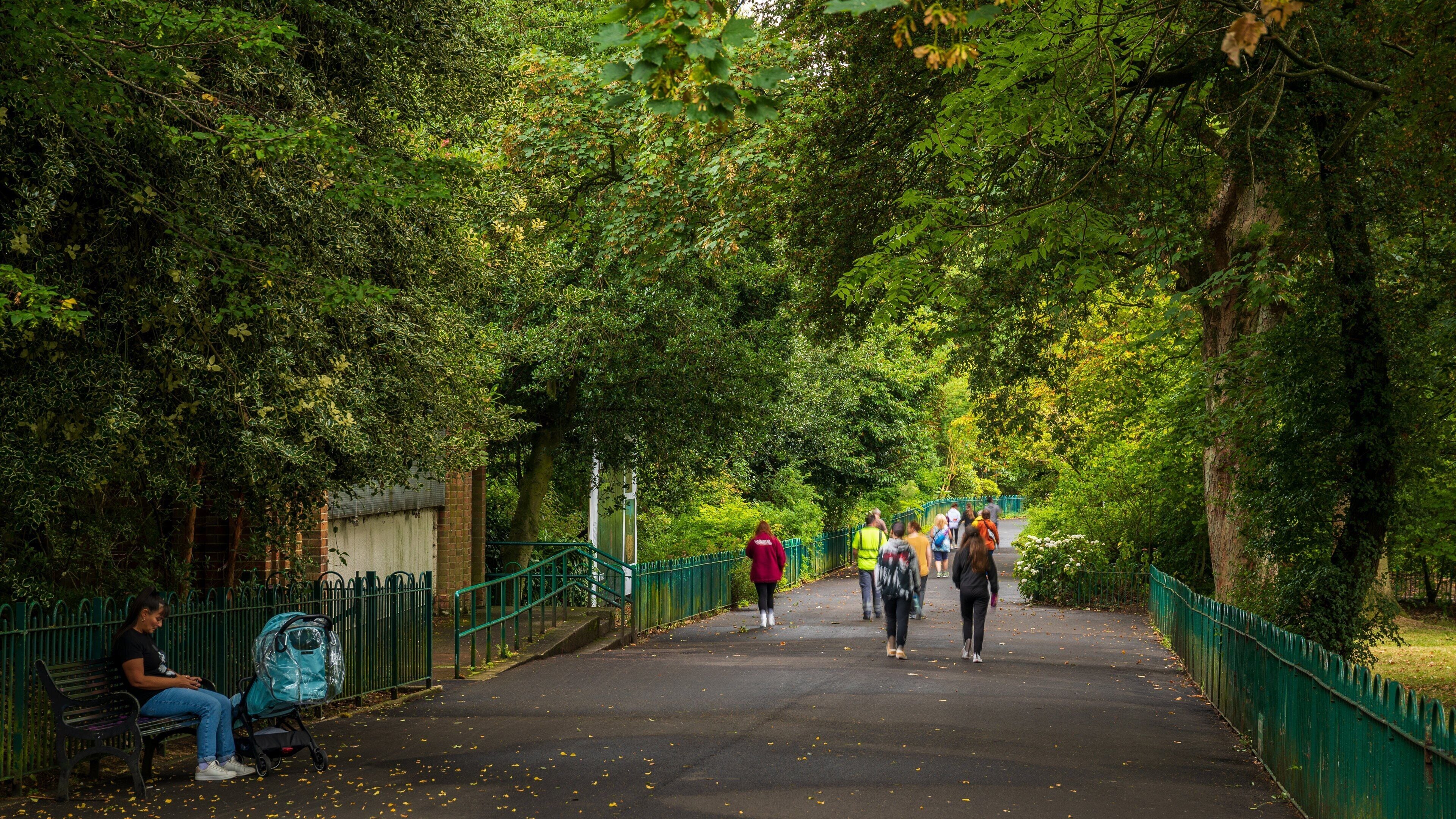 Belfast Botanic Gardens showing a park