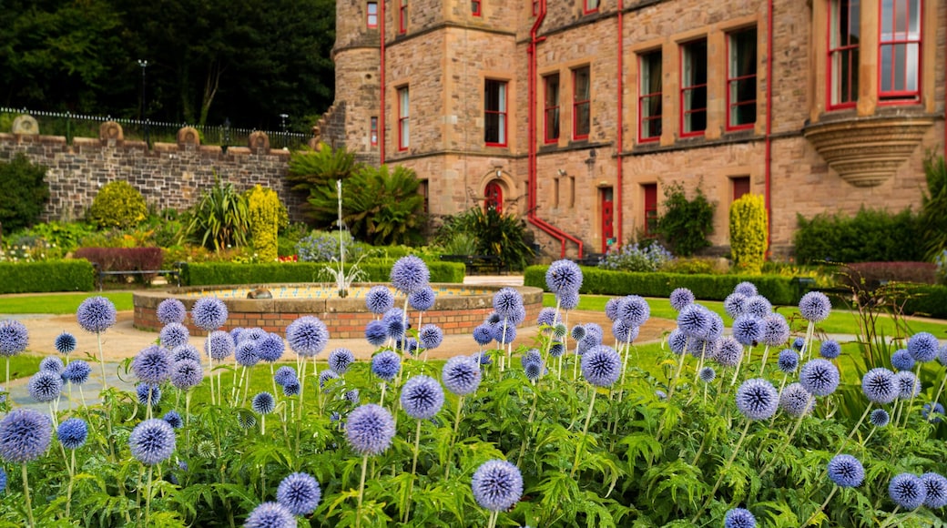 Belfast Castle featuring a park, wildflowers and a fountain