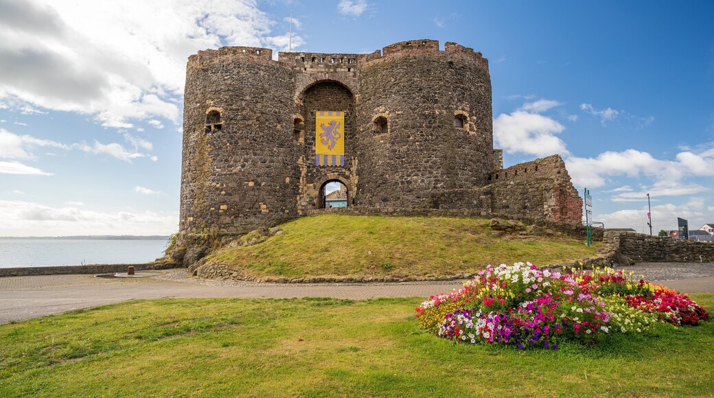 Carrickfergus Castle showing flowers, a castle and heritage architecture