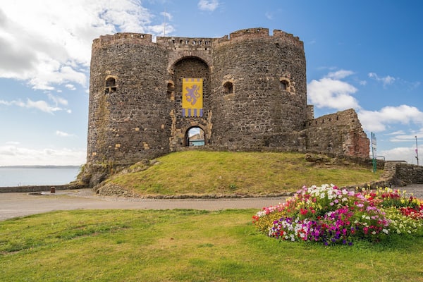 Carrickfergus Castle showing flowers, a castle and heritage architecture