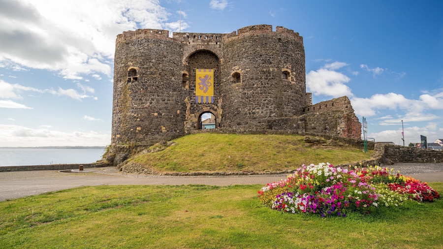 Carrickfergus Castle showing flowers, a castle and heritage architecture