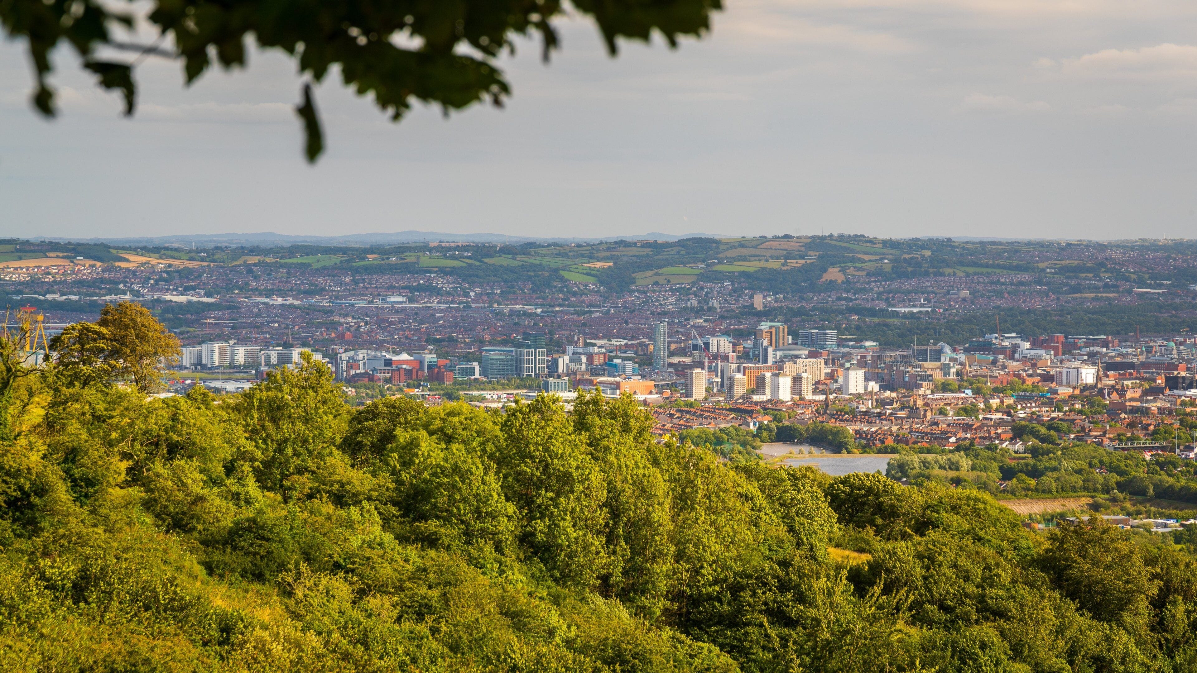 Cave Hill Country Park (offentlig park)