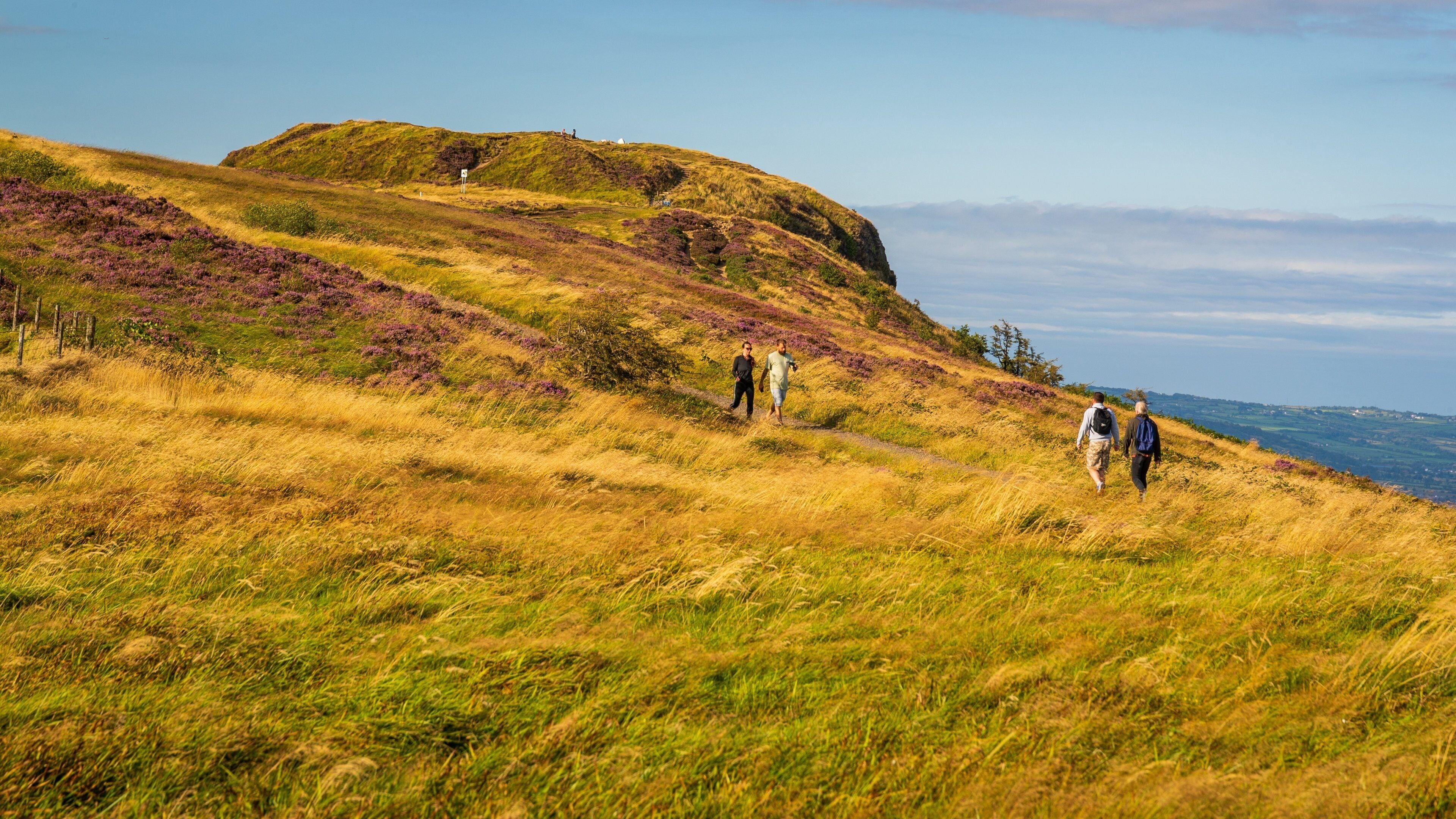 Cave Hill Country Park showing rugged coastline and general coastal views as well as a couple