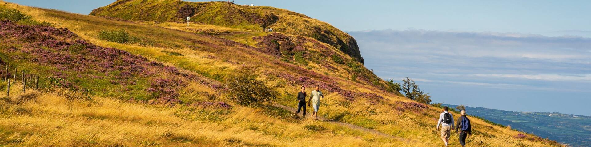 Cave Hill Country Park showing rugged coastline and general coastal views as well as a couple