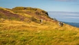 Cave Hill Country Park showing rugged coastline and general coastal views as well as a couple