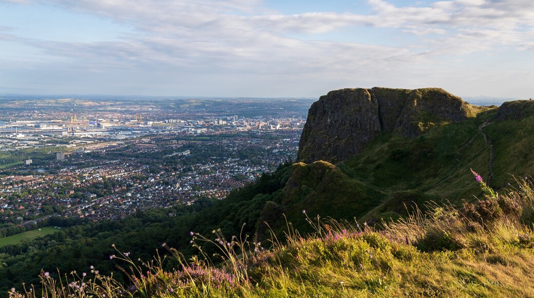 Cave Hill Country Park which includes landscape views and tranquil scenes