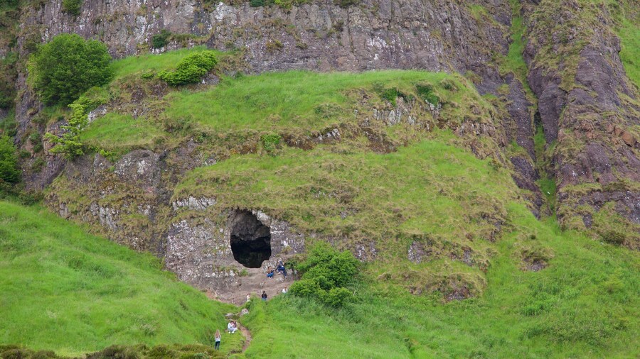 Cave Hill Country Park featuring tranquil scenes, caves and hiking or walking
