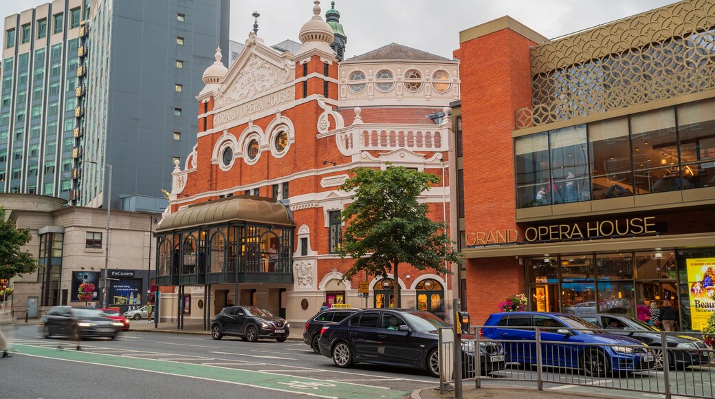 Grand Opera House which includes a city and heritage architecture