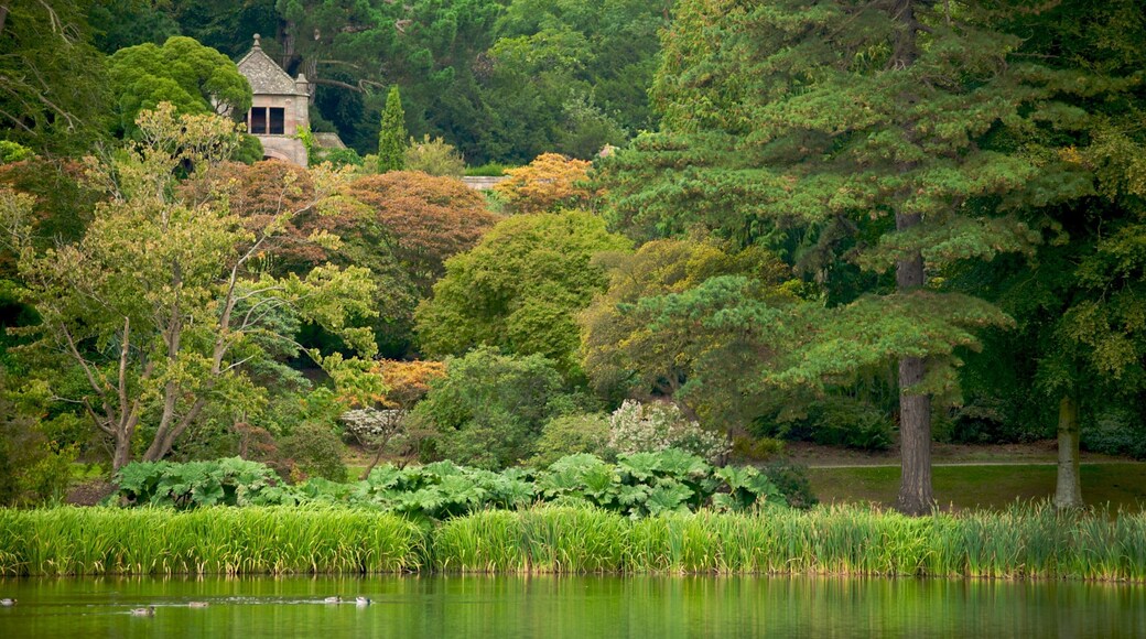 Mount Stewart showing forests, a lake or waterhole and a park