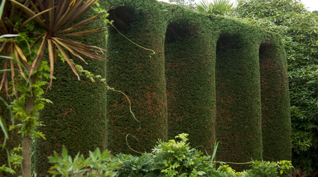 Mount Stewart featuring a park