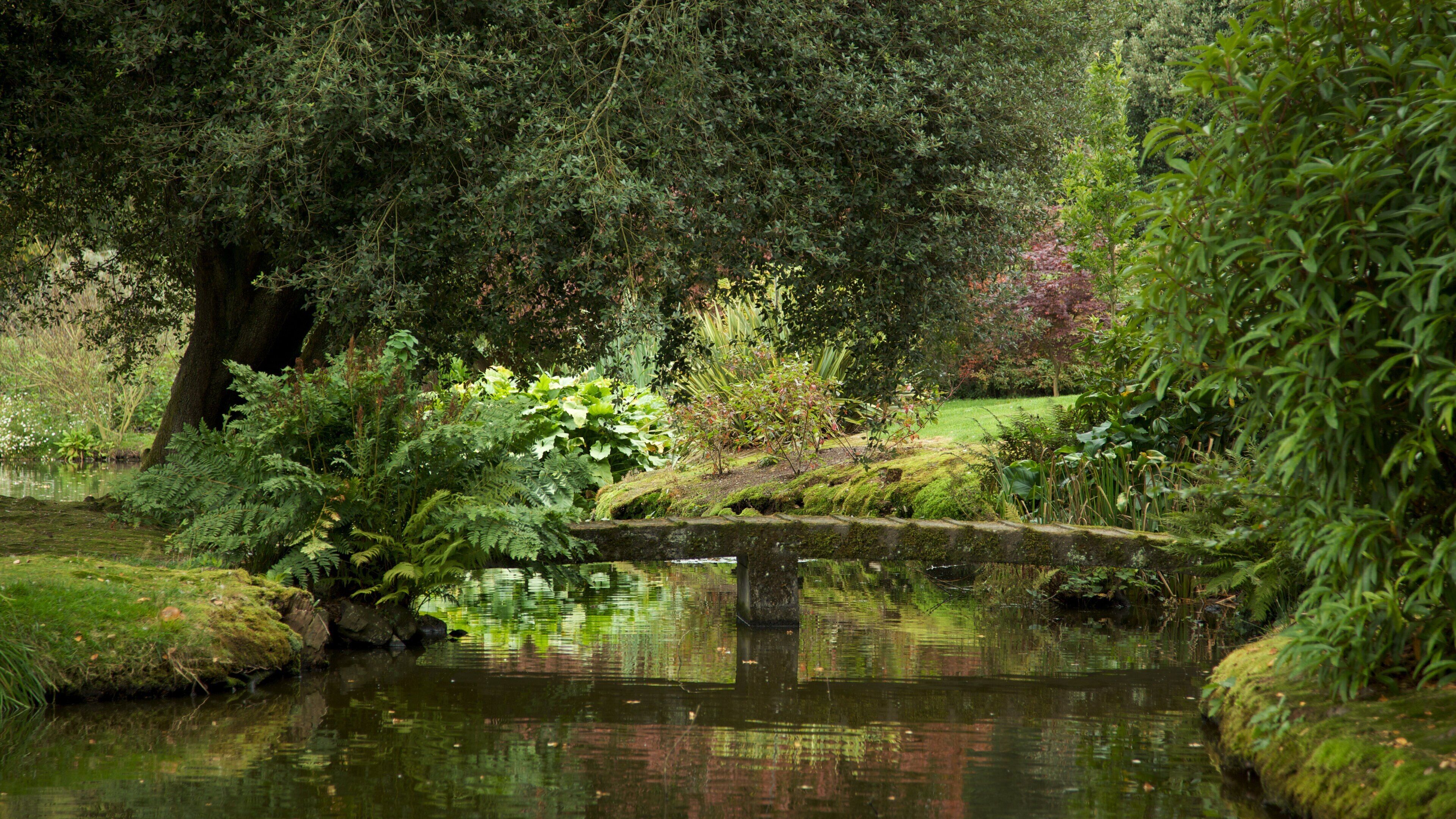 Mount Stewart showing a pond and a park