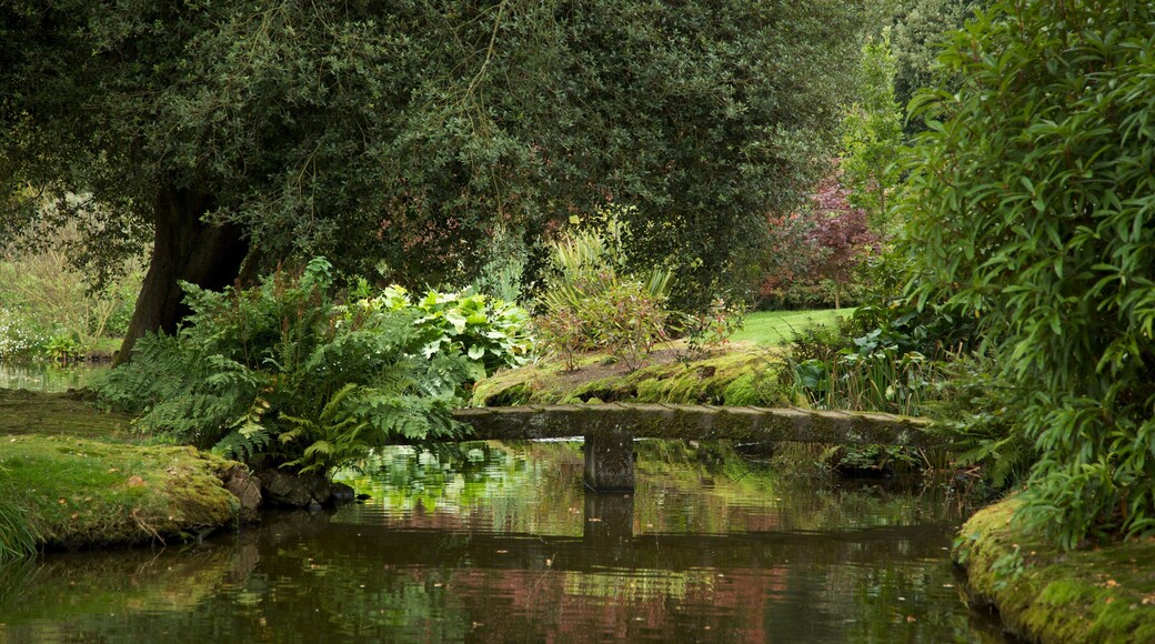 Mount Stewart showing a pond and a park