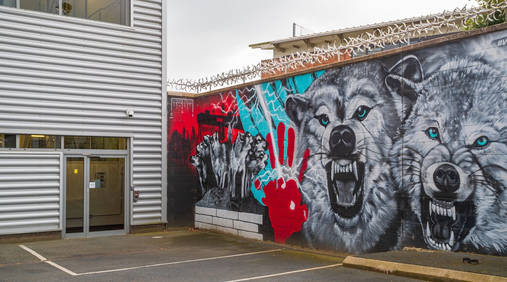 Ravenhill Stadium featuring outdoor art