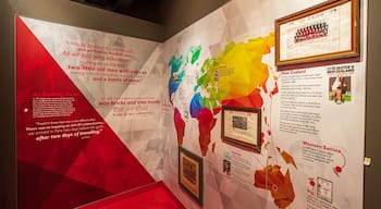 Ravenhill Stadium which includes interior views