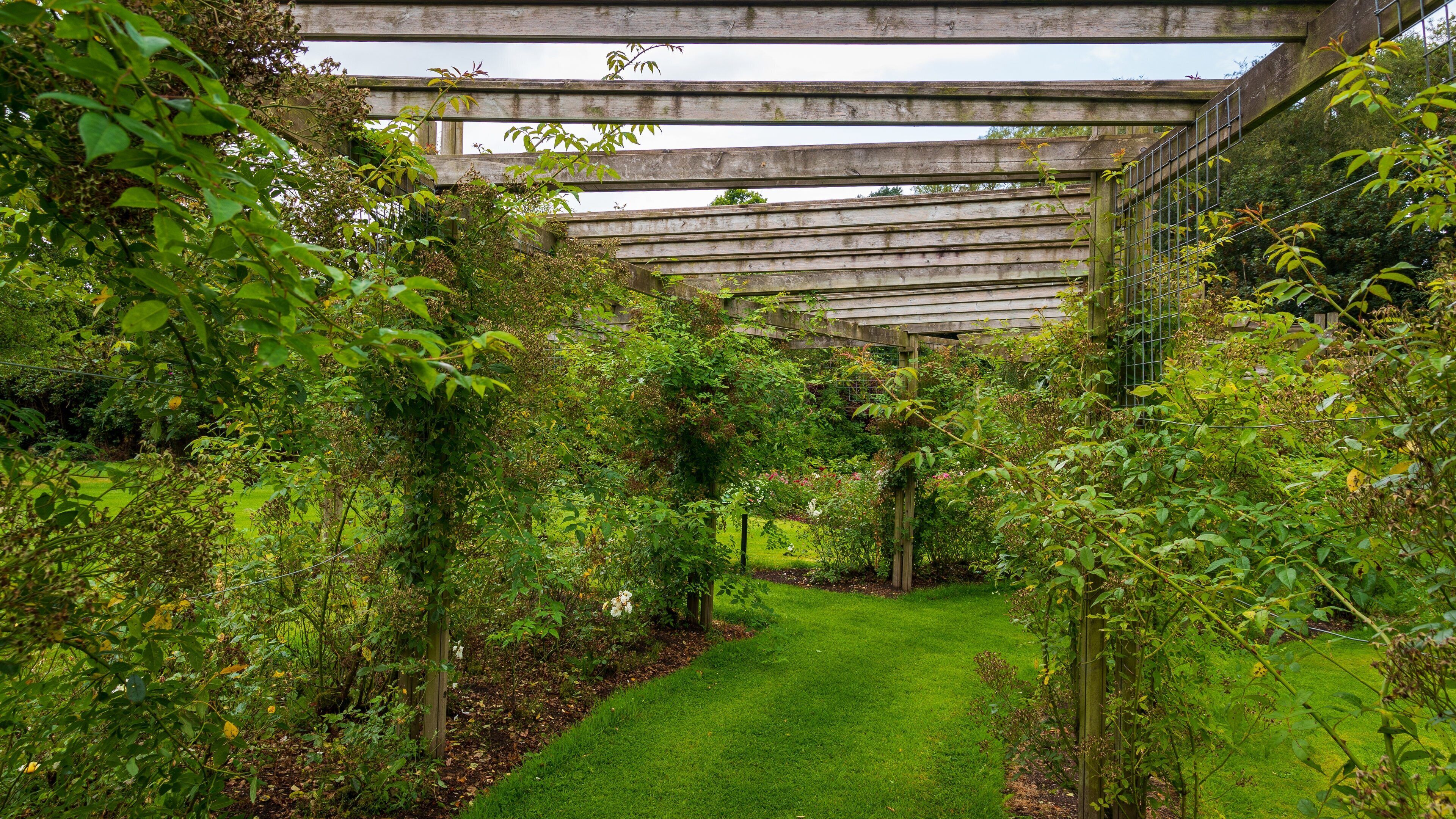 Sir Thomas and Lady Dixon Park showing a garden