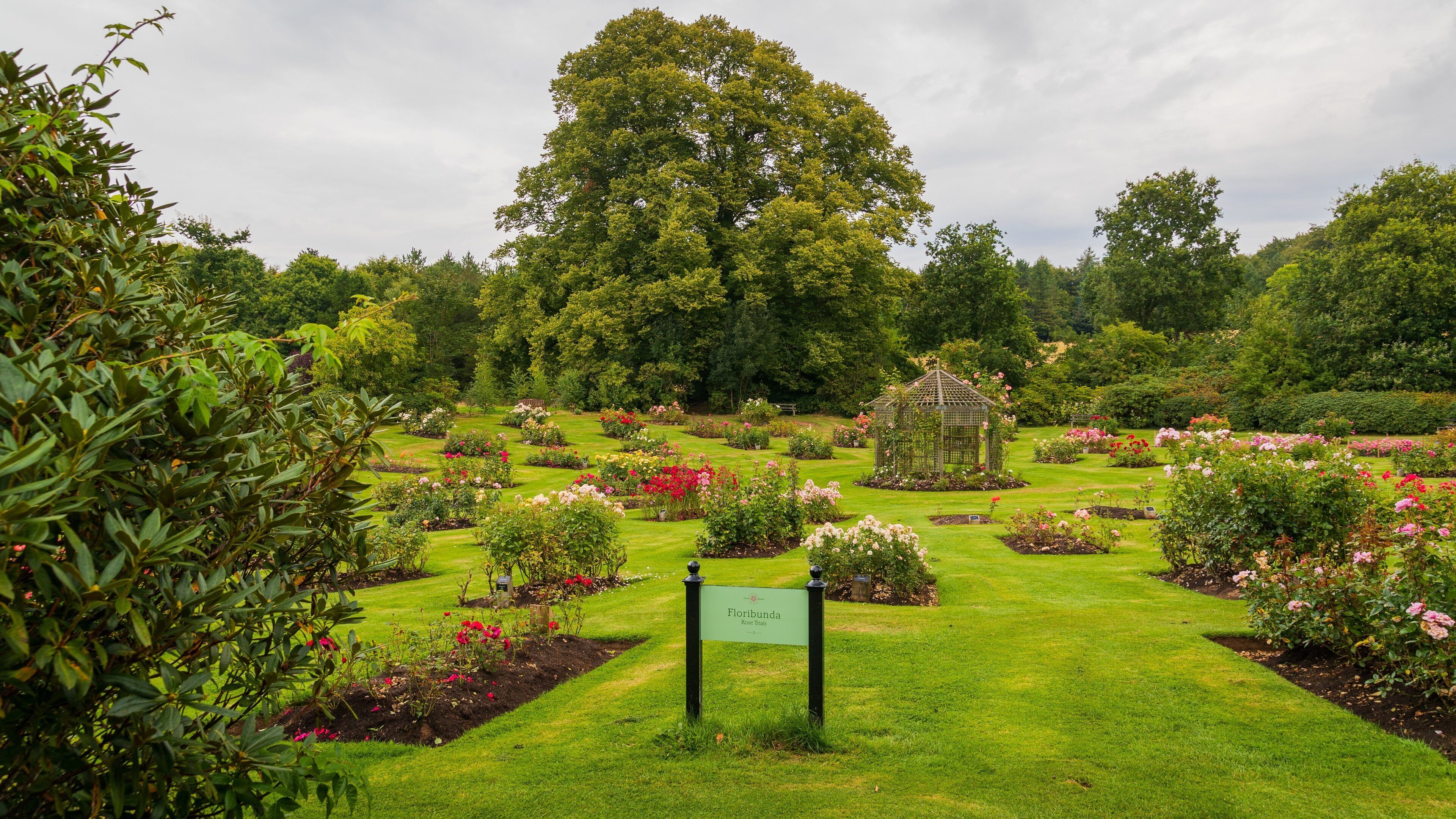 Sir Thomas and Lady Dixon Park showing flowers and a garden