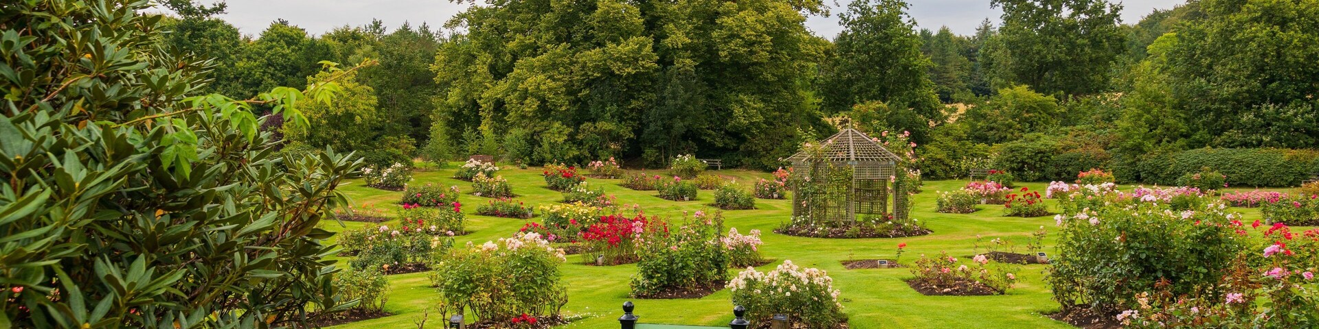 Sir Thomas and Lady Dixon Park showing flowers and a garden