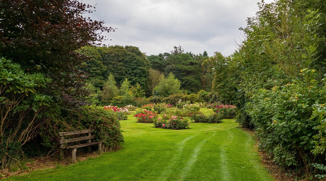 Sir Thomas and Lady Dixon Park which includes flowers and a garden