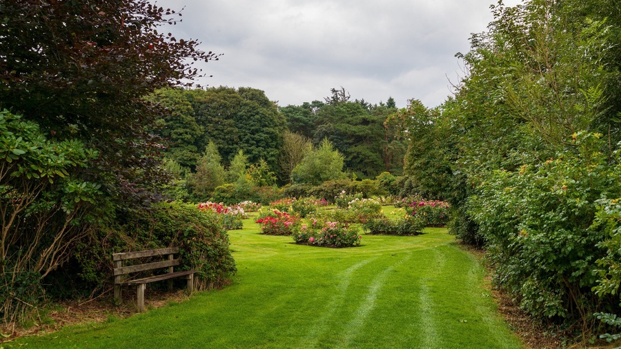 Sir Thomas and Lady Dixon Park which includes flowers and a garden