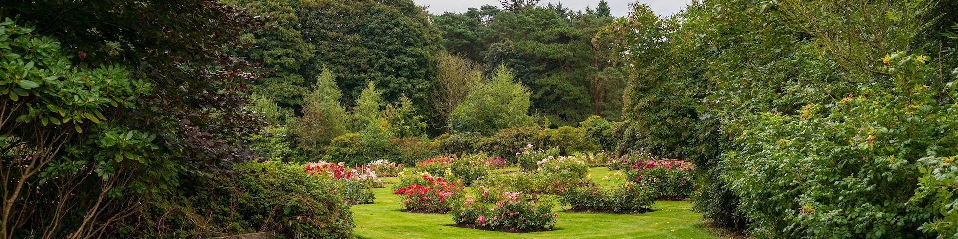 Sir Thomas and Lady Dixon Park which includes flowers and a garden