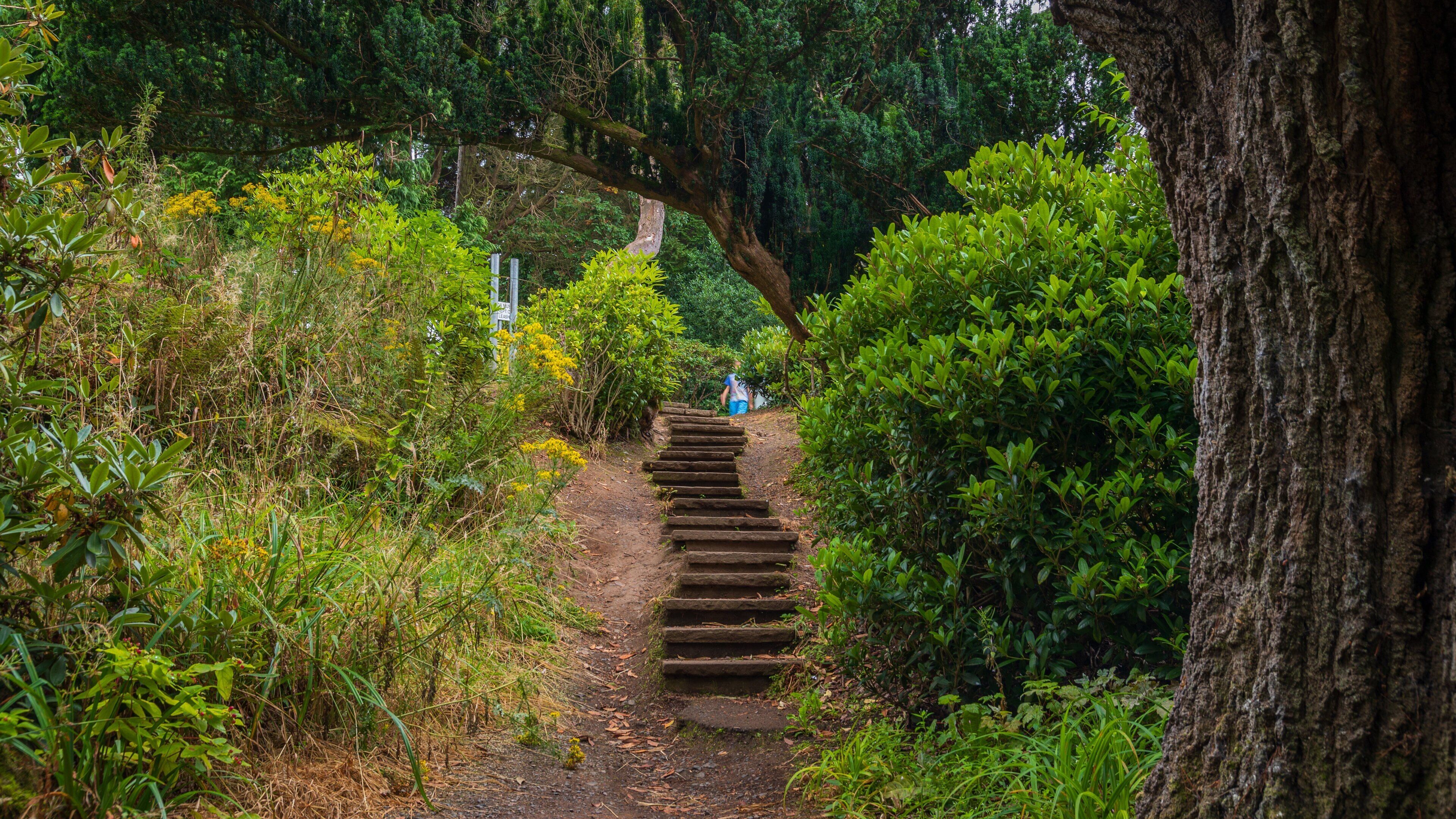 Sir Thomas and Lady Dixon Park showing a garden