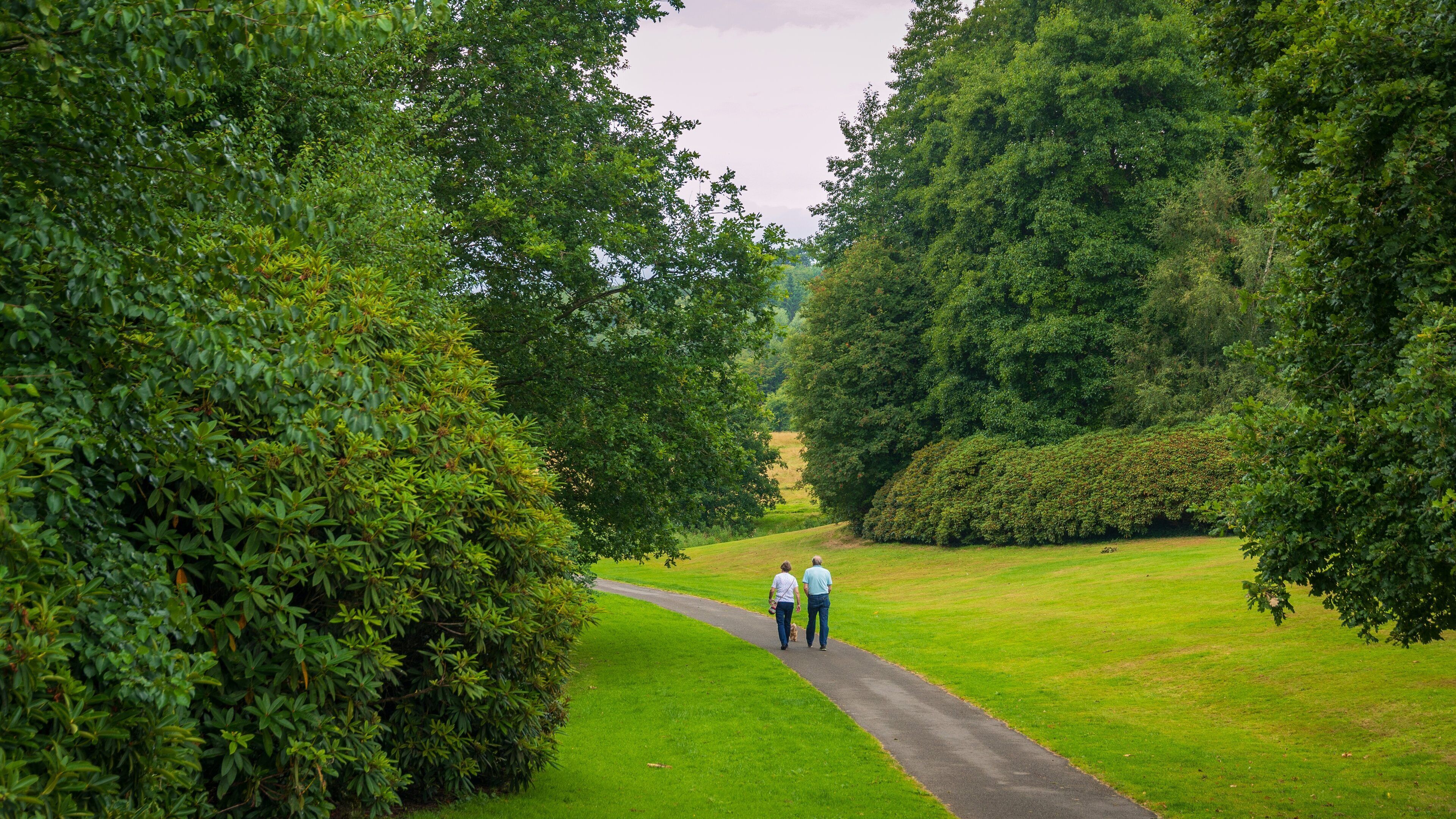 Sir Thomas and Lady Dixon Park which includes a park as well as a couple