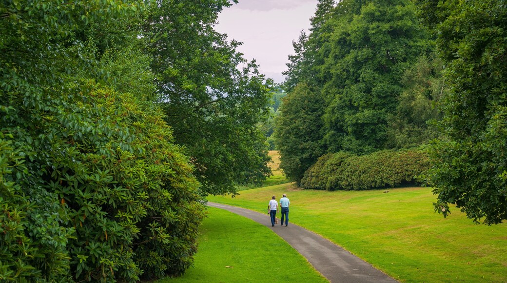 Sir Thomas and Lady Dixon Park which includes a park as well as a couple