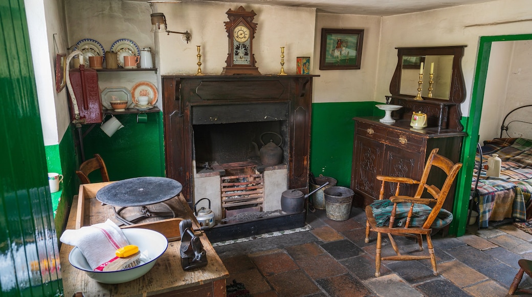 Ulster Folk and Transport Museum which includes heritage elements and interior views