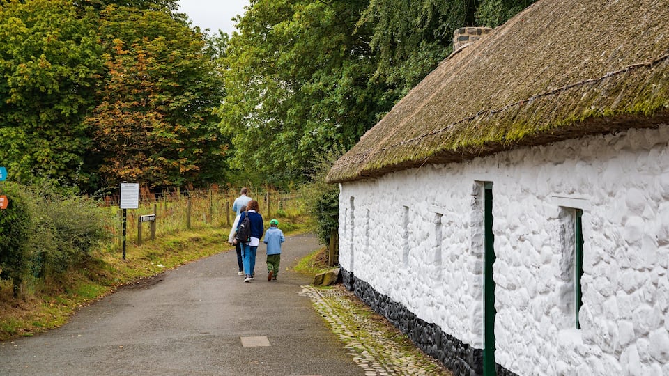 Ulster Folk and Transport Museum featuring street scenes and heritage elements as well as a family