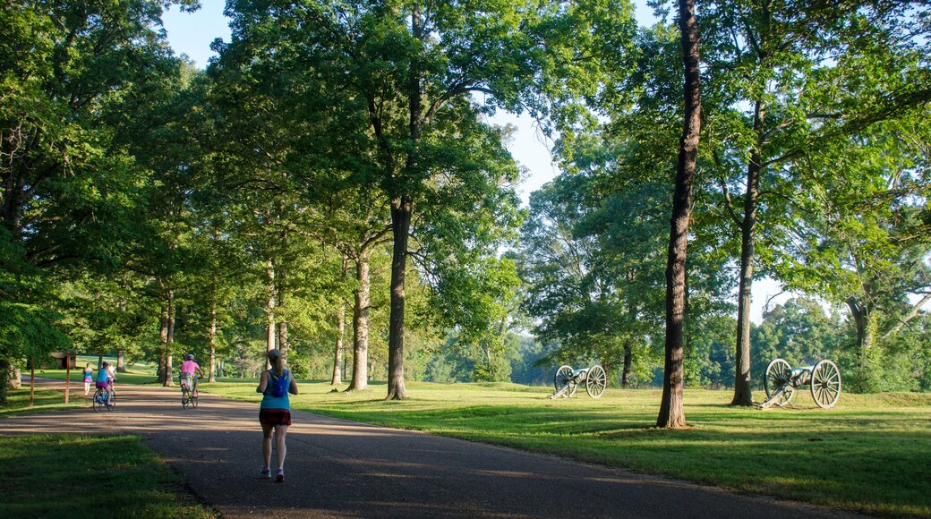 フレデリックスバーグ戦場跡