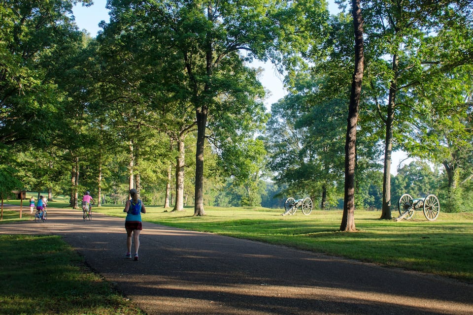 A park with a paved path, green grass, and trees.