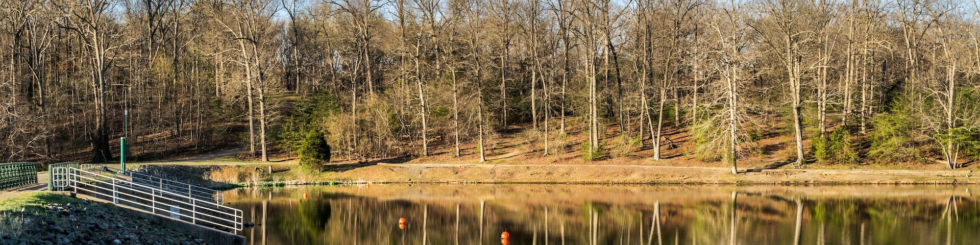 Spring Comes to Lake Fairfax