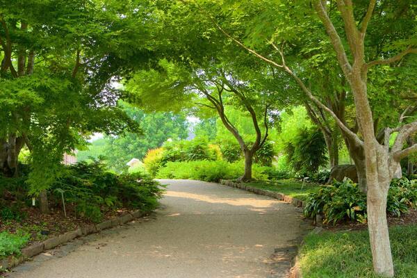 Lewis Ginter Botanical Garden mettant en vedette parc