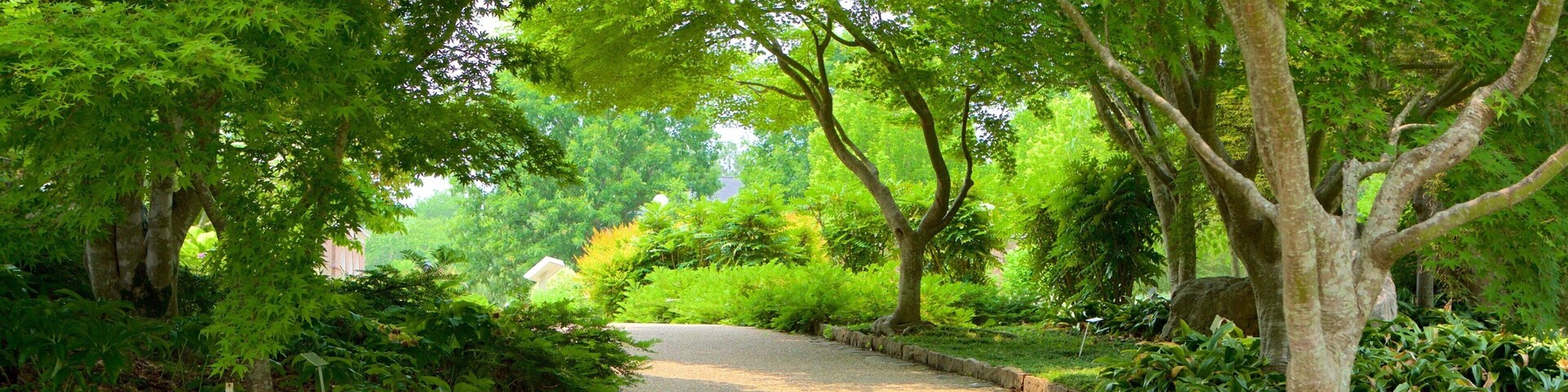 Lewis Ginter Botanical Garden mettant en vedette parc