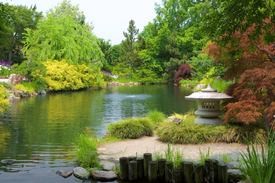 A tranquil pond surrounded by lush greenery, a stone lantern, and a variety of trees including red-leaved ones.