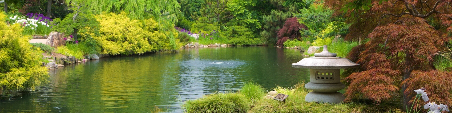 刘易斯·金特植物园