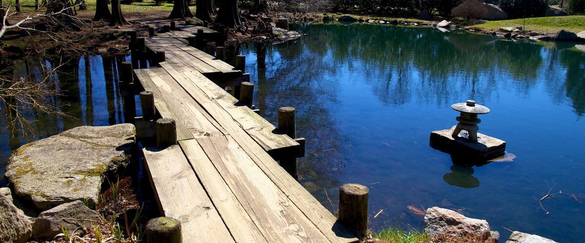 Maymont Park featuring a pond and a park