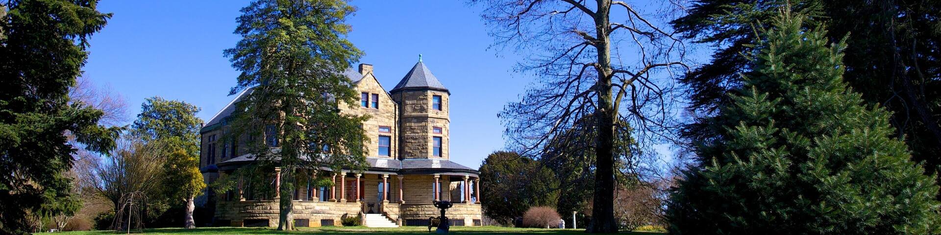 Maymont Park showing a park, a house and heritage architecture