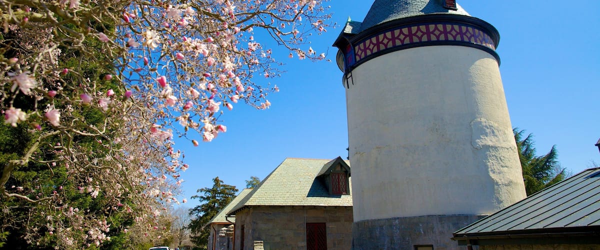 Maymont Park featuring a park and heritage architecture