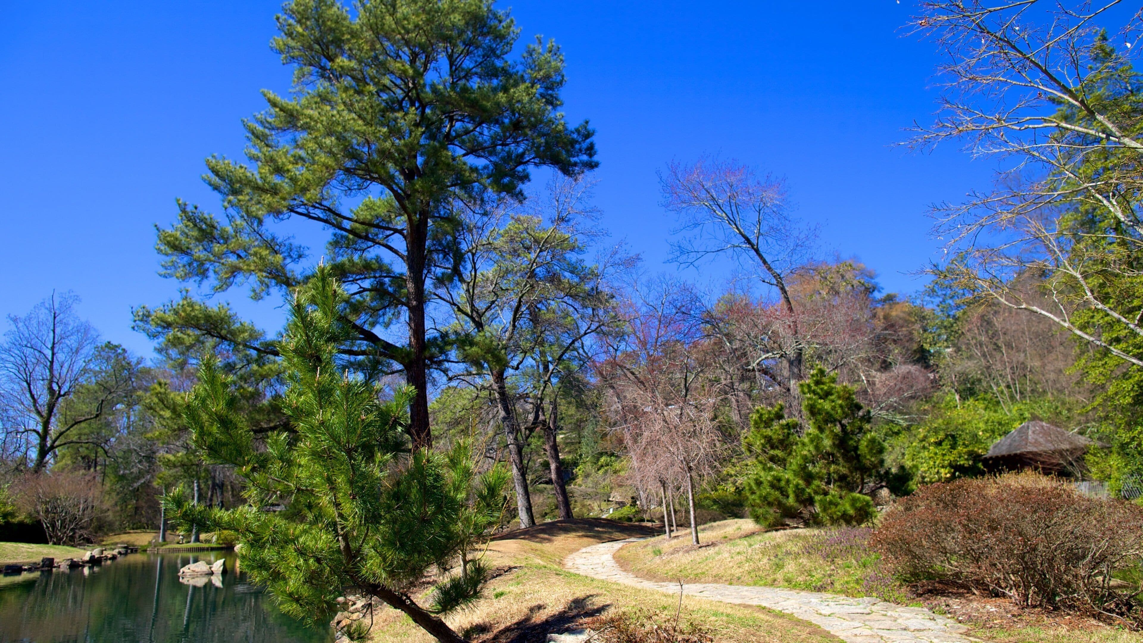 Maymont Park som visar stillsam natur och en park