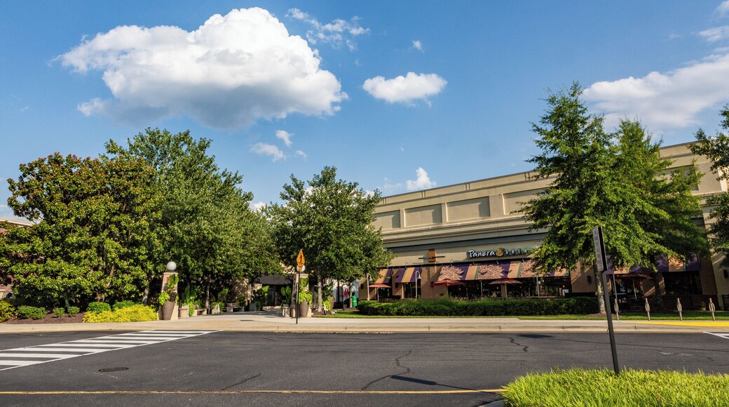 Stony Point Fashion Park