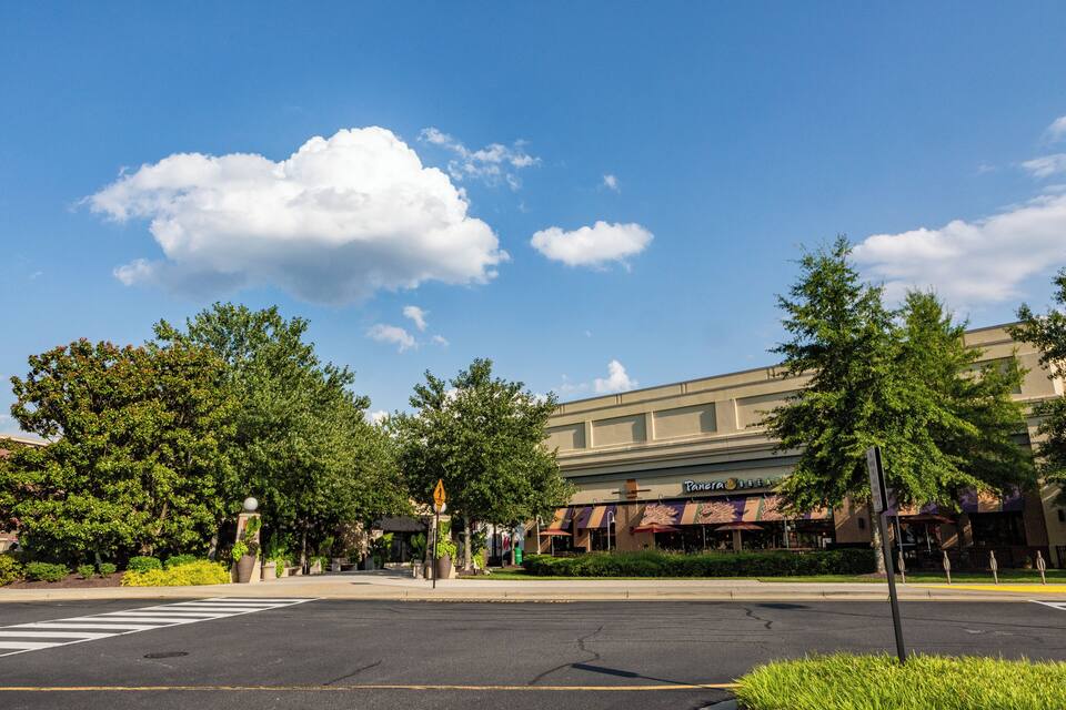 A street intersection with a crosswalk, trees, and a building with a restaurant named "Panera Bread."