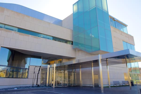 Virginia Museum of Fine Arts featuring a city and art