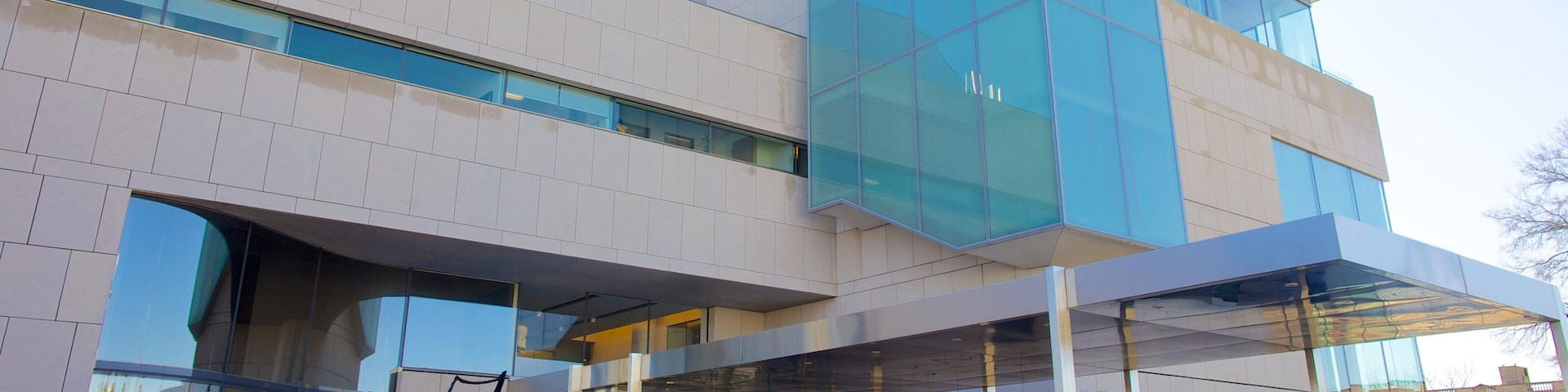 維吉尼亞美術館 其中包括 城市 和 藝術