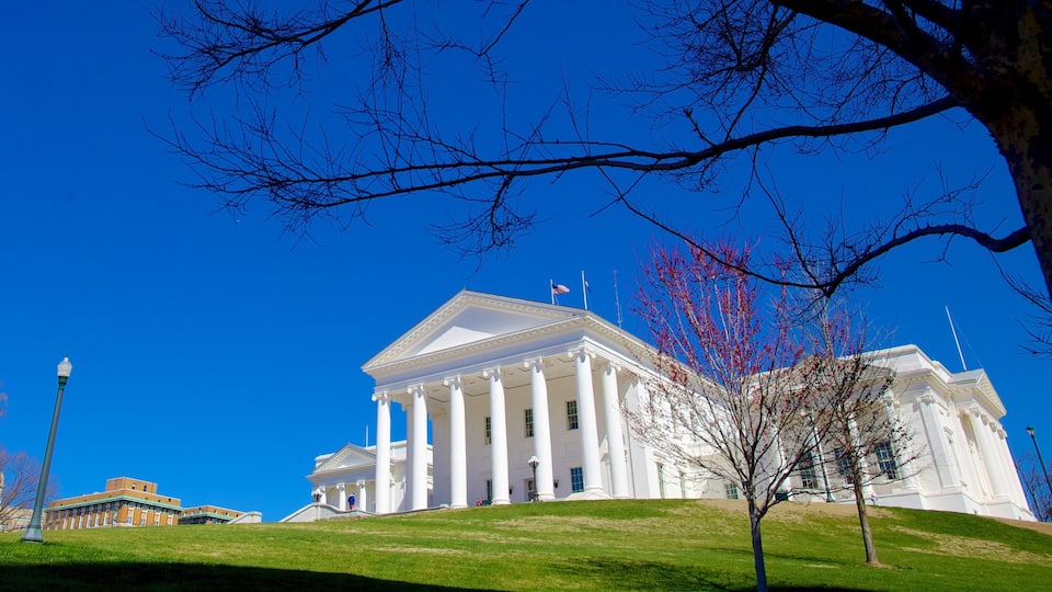 Virginia State Capitol showing a city and heritage architecture