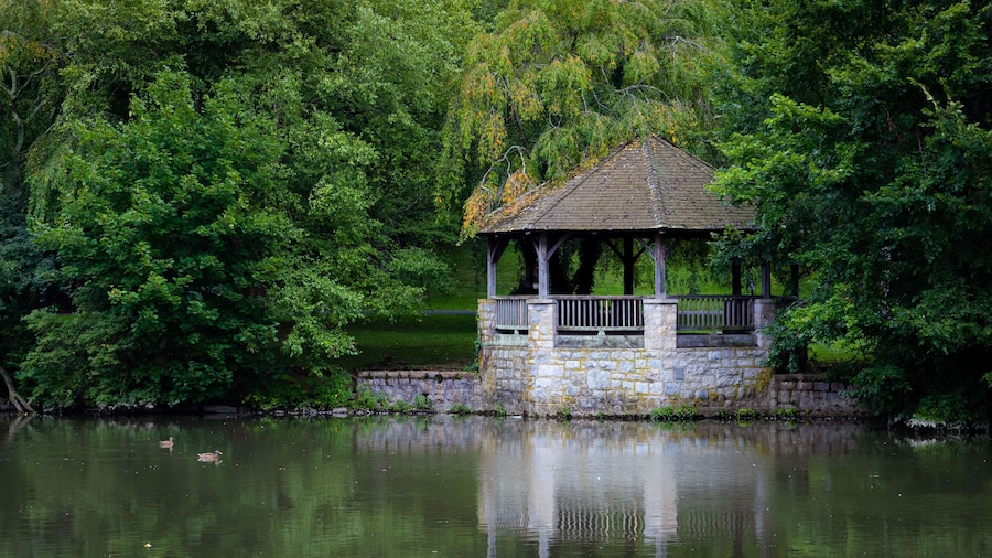 Beautiful closeup of a gazebo by duck pond at Virginia tech university surrounded by dense trees
