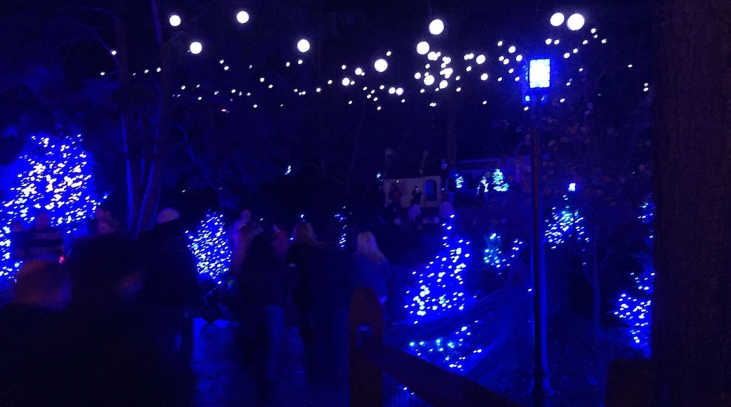 Christmastown at Busch Gardens, Williamsburg