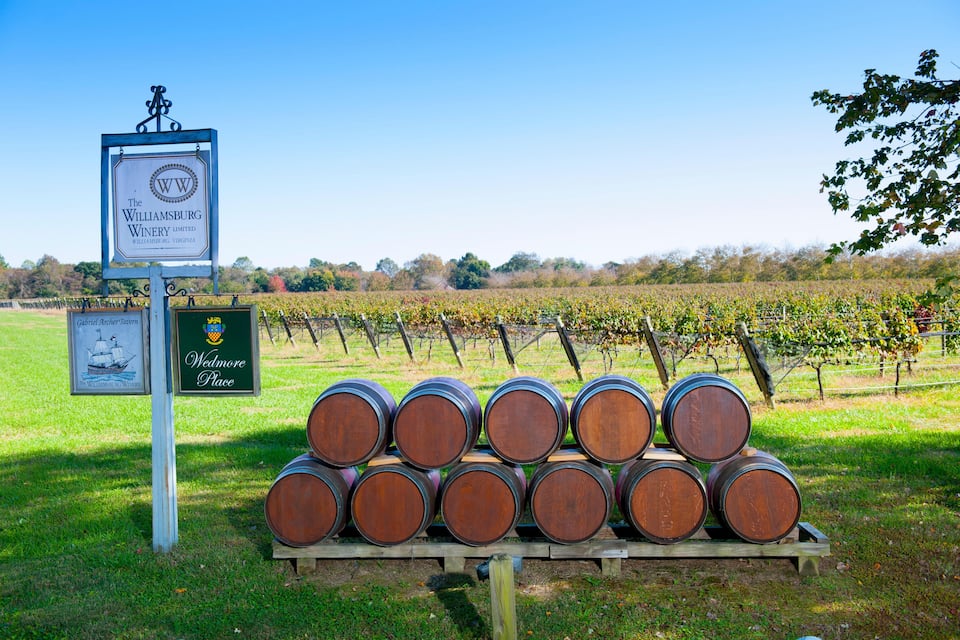 Barrels stacked on a wooden platform in a vineyard with a sign for The Williamsburg Winery Limited.